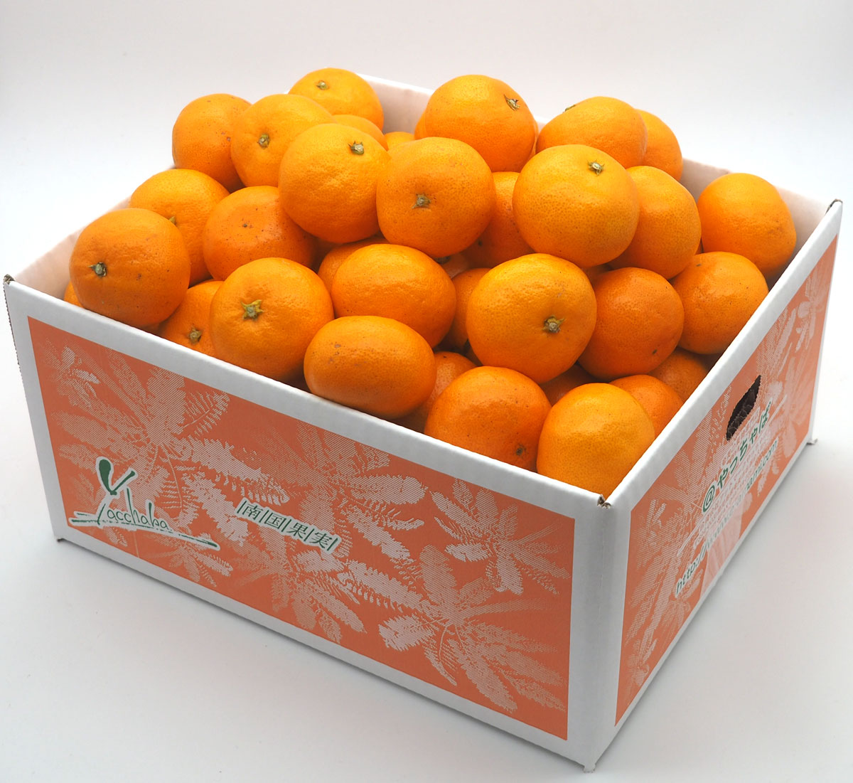 【糖度13度前後】木場さんの堂脇みかん　Ｍ～２Ｓサイズ　５ｋｇ箱詰